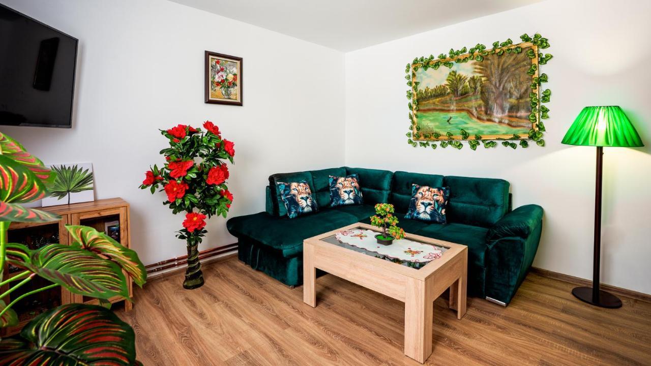 Отель Casuta Cu Flori Vilcele  Экстерьер фото
